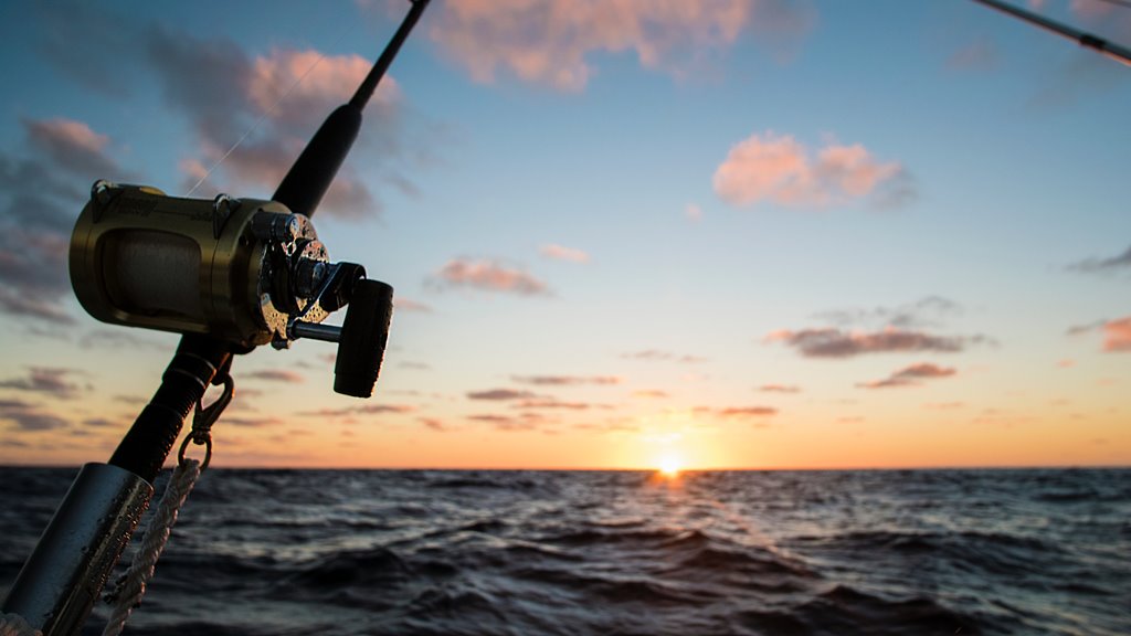 Choosing a Fishing Reel for Saltwater Fishing