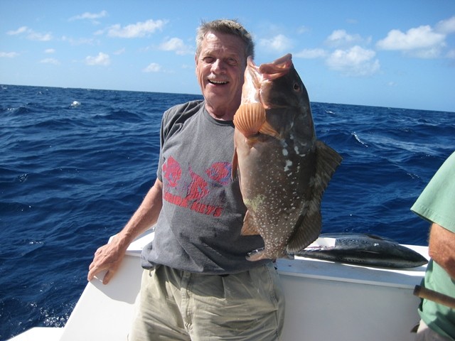 What Bait Attracts Cod, Grouper, Snapper or Tuna?