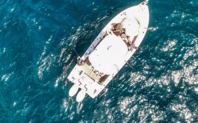 Saltwater vs. Freshwater Fishing Gear: What You Need to Know